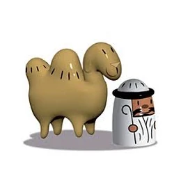 Amir & Camelus