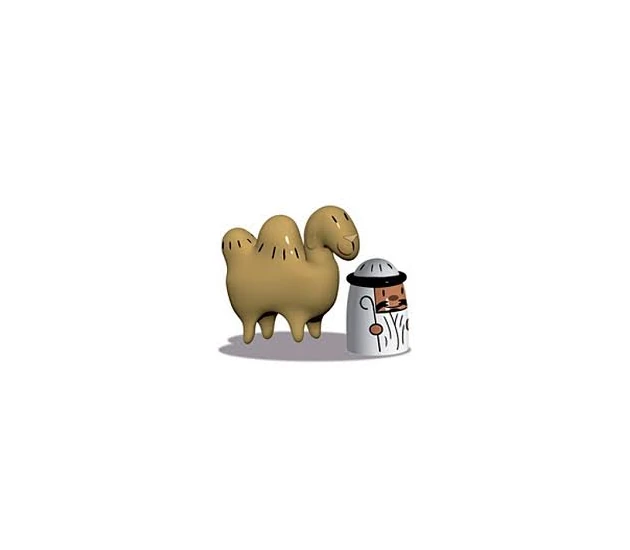 Amir & Camelus