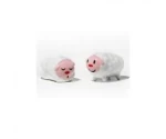 Tiny Little Sheep