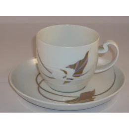 Koffiekop en schotel