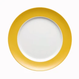 Dinerbord 27 cm
