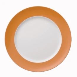 Dinerbord 27 cm