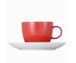 Koffiekop en schotel