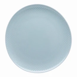 Dinerbord 27 cm (decor bovenkant)