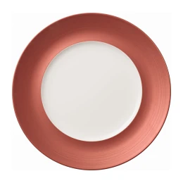 Dinerbord 29 cm