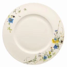 Dinerbord met rand 28 cm