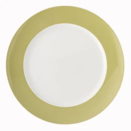 Dinerbord 27 cm