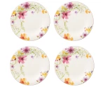 Set van 4 dinerborden 27 cm