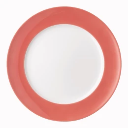 Dinerbord 27 cm